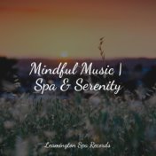 Mindful Music | Spa & Serenity