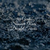 50 Gentle Summer Rain Droplet Tracks