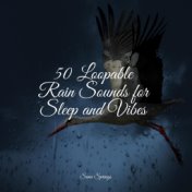 50 Loopable Rain Sounds for Sleep and Vibes
