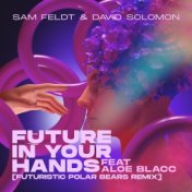 Future In Your Hands (feat. Aloe Blacc) (Futuristic Polar Bears Remix)