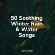 50 Soothing Winter Rain & Water Songs