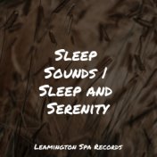 Sleep Sounds | Sleep and Serenity