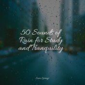 50 Sounds of Rain for Study and Tranquility