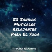 50 Sonidos Musicales Relajantes Para El Yoga