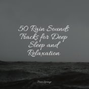 50 Rain Sounds Tracks for Deep Sleep and Relaxation