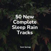 50 New Complete Sleep Rain Tracks