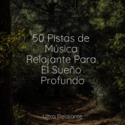 50 Pistas de Música Relajante Para El Sueño Profundo