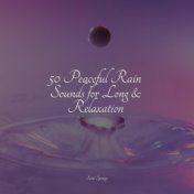 50 Peaceful Rain Sounds for Long & Relaxation