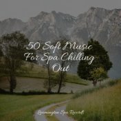 50 Soft Music For Spa Chilling Out