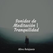 Sonidos de Meditación | Tranquilidad