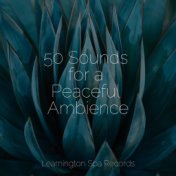 50 Sounds for a Peaceful Ambience