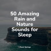 50 Amazing Rain and Nature Sounds for Sleep