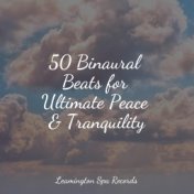 50 Binaural Beats for Ultimate Peace & Tranquility