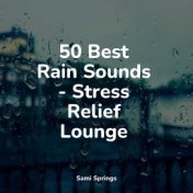 50 Best Rain Sounds - Stress Relief Lounge