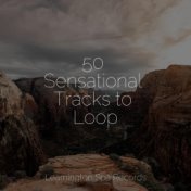 50 Sensational Tracks to Loop