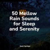 50 Mellow Rain Sounds for Sleep and Serenity