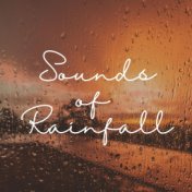 Sounds of Rainfall
