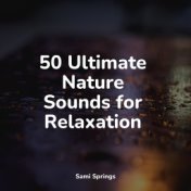 50 Ultimate Nature Sounds for Relaxation