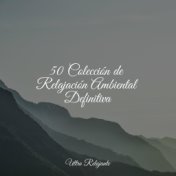 50 Colección de Relajación Ambiental Definitiva