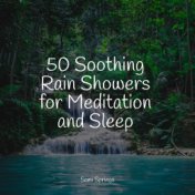 50 Soothing Rain Showers for Meditation and Sleep