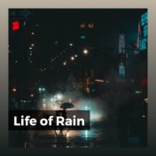 Life of Rain