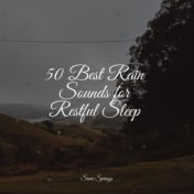 50 Best Rain Sounds for Restful Sleep