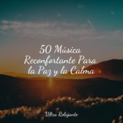 50 Música Reconfortante Para la Paz y la Calma