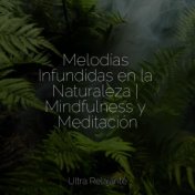 Melodías Infundidas en la Naturaleza | Mindfulness y Meditación