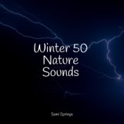 Winter 50 Nature Sounds