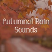 Autumnal Rain Sounds