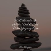 50 Colección de Alivio Del Estrés Para Yoga y Spa