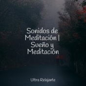 Sonidos de Meditación | Sueño y Meditación