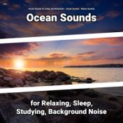 #01 Ocean Sounds for Relaxing, Sleep, Studying, Background Noise