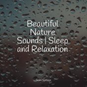 Beautiful Nature Sounds | Sleep and Relaxation