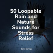 50 Loopable Rain and Nature Sounds for Stress Relief