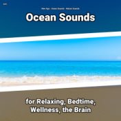 #01 Ocean Sounds for Relaxing, Bedtime, Wellness, the Brain