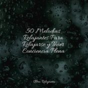 50 Melodías Relajantes Para Relajarse y Tener Conciencia Plena