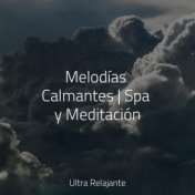 Melodías Calmantes | Spa y Meditación