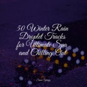 50 Winter Rain Droplet Tracks for Ultimate Spa and Chilling Out