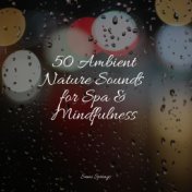 50 Ambient Nature Sounds for Spa & Mindfulness