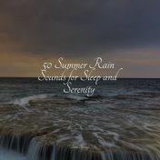 50 Summer Rain Sounds for Sleep and Serenity