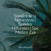 Sonidos de la Naturaleza | Sonidos Naturales | Spa Místico Zen
