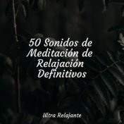 Melodías Para Dormir y Relajarse