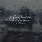 50 Zen Meditation Rain Sounds from Nature