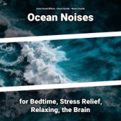 #01 Ocean Noises for Bedtime, Stress Relief, Relaxing, the Brain