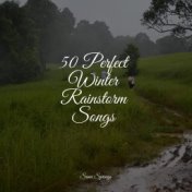 50 Perfect Winter Rainstorm Songs