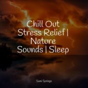 Chill Out Stress Relief | Nature Sounds | Sleep