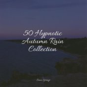 50 Hypnotic Autumn Rain Collection