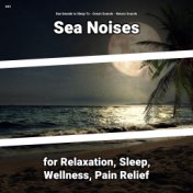 #01 Sea Noises for Relaxation, Sleep, Wellness, Pain Relief