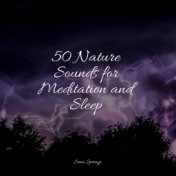 50 Nature Sounds for Meditation and Sleep
